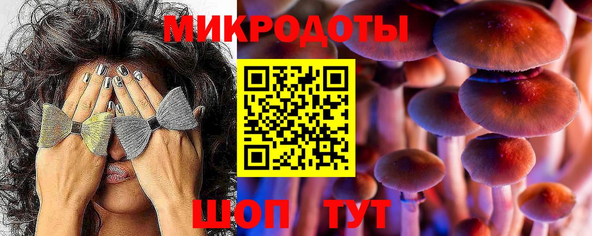 Псилоцибиновые грибы Psilocybe  Вход с VPN  Великий Новгород 